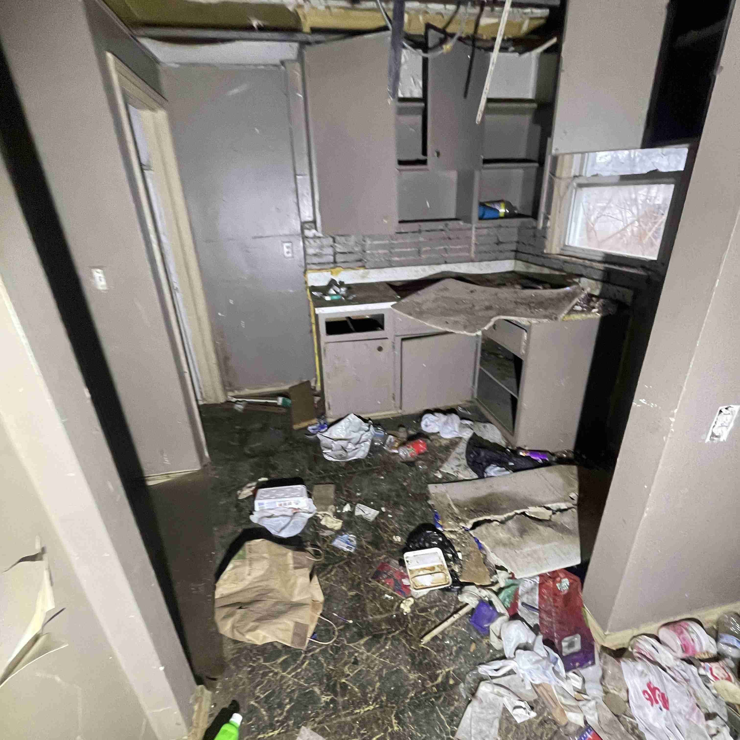 20015 Schoenherr (27).jpg